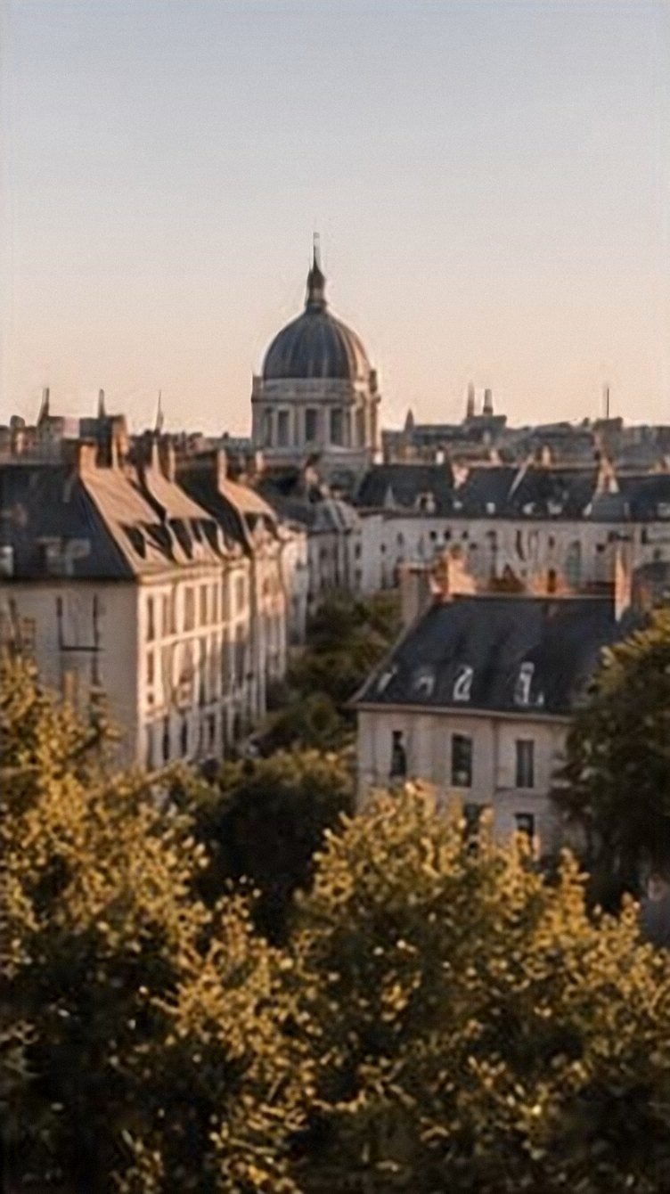 Toits de Nantes et dôme au soleil couchant