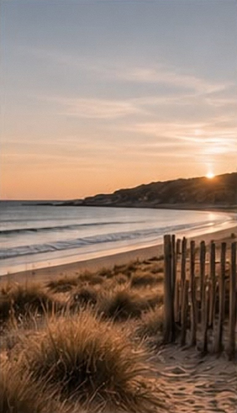 Plage et ganivelles sur la côte atlantique